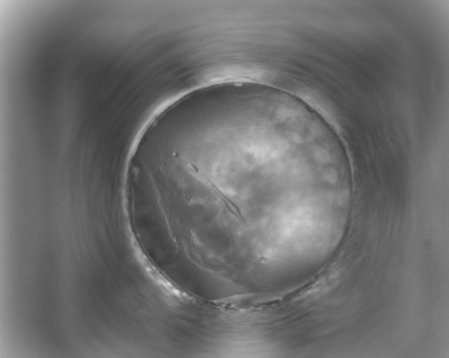 X0000067351104200604071419