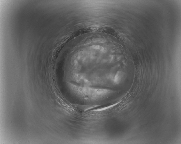 X0000067351105200604071418