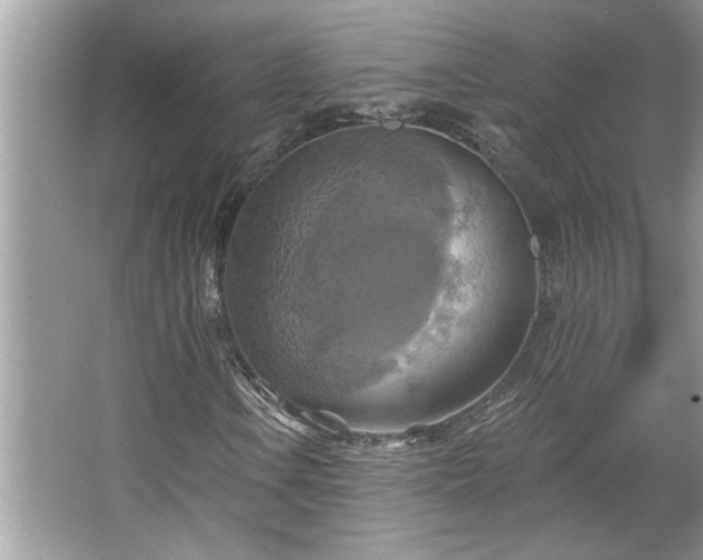 X0000067351106200604071418