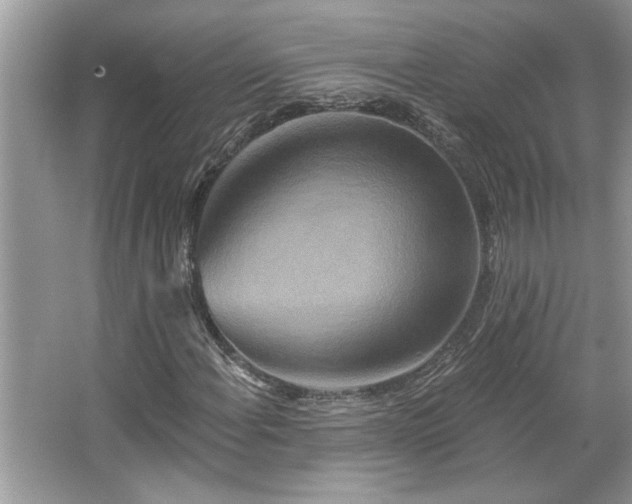 X0000067351108200604071418