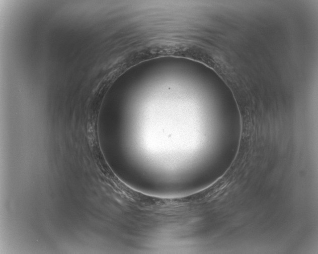 X0000067351109200604071418