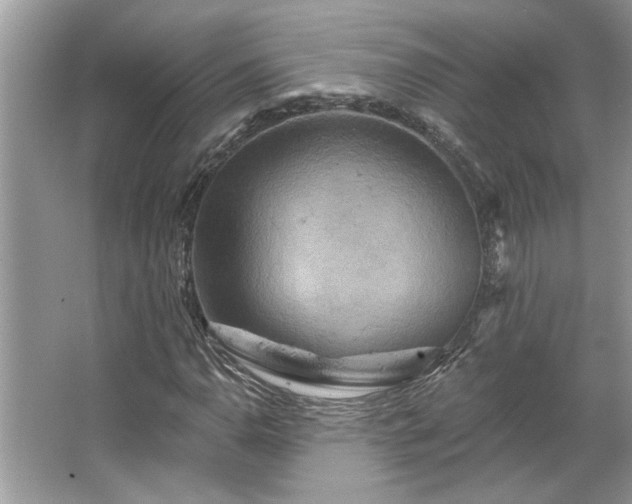 X0000067351110200604071418