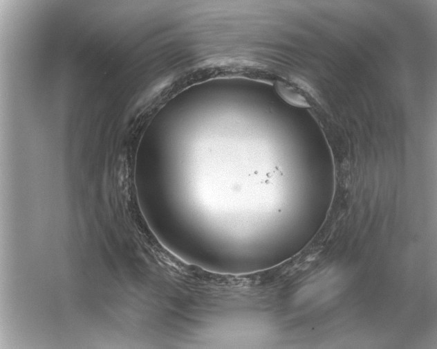 X0000067351111200604071418