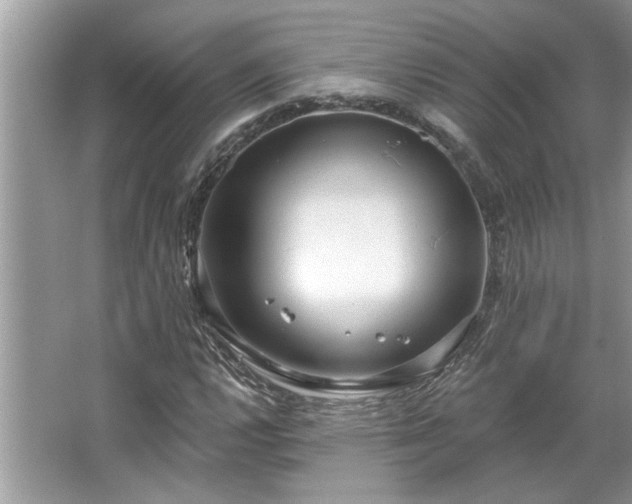 X0000067351112200604071418