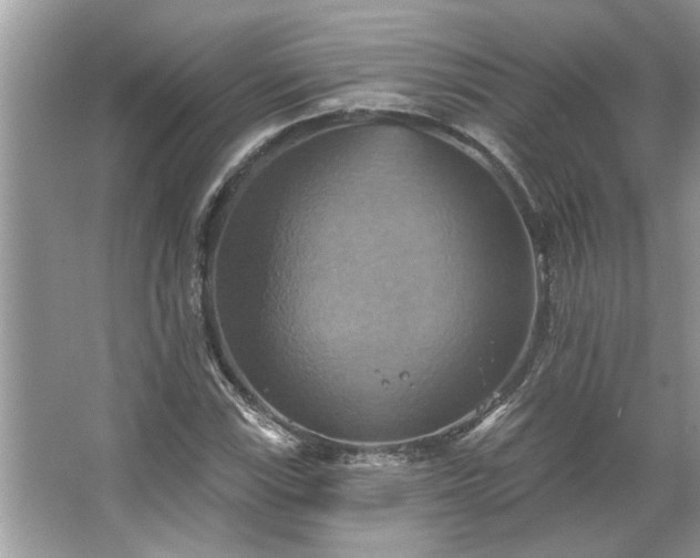 X0000067351115200604071418