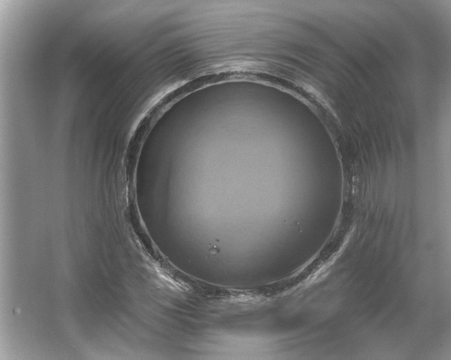 X0000067351117200604071418