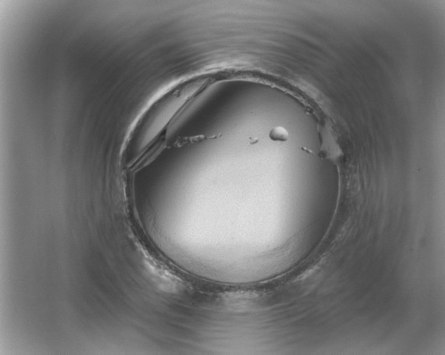 X0000067351118200604071418