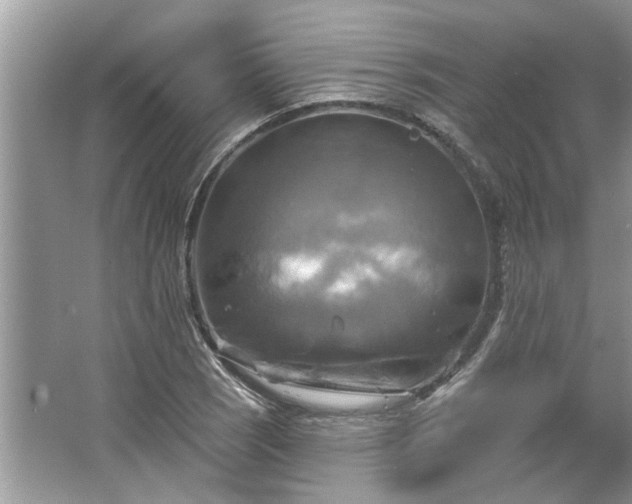 X0000067351121200604071418