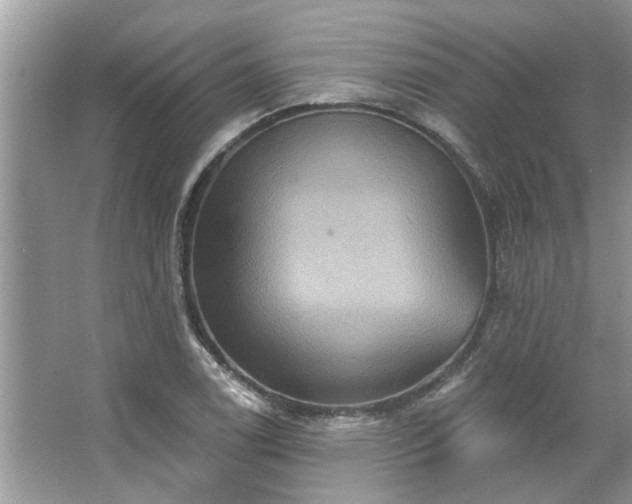 X0000067351122200604071418