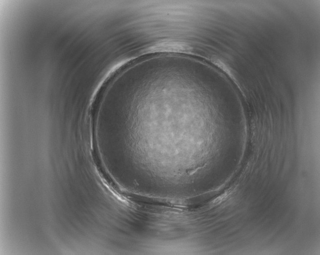 X0000067351123200604071418