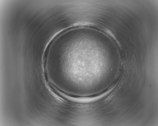 X0000067351124200604071418