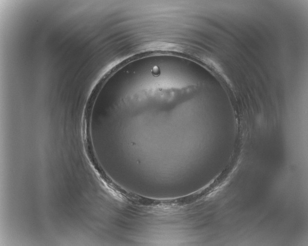 X0000067351125200604071418