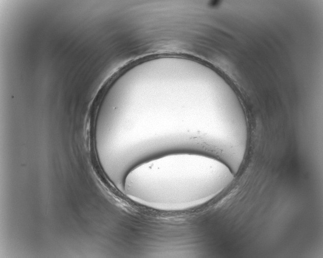 X0000067351126200604071418