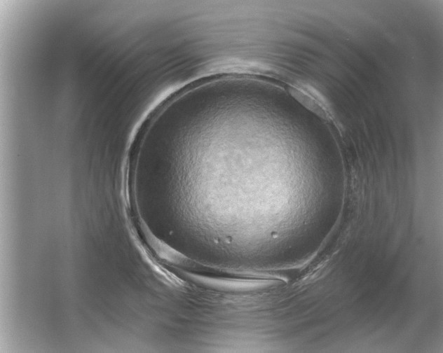 X0000067351128200604071418