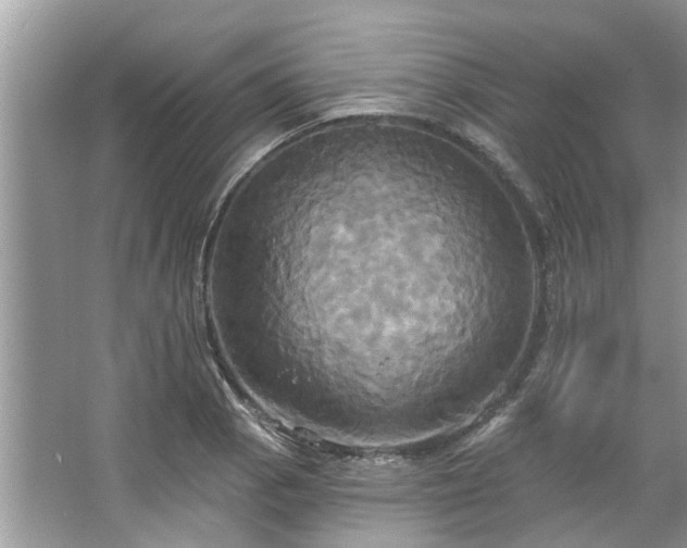 X0000067351129200604071418