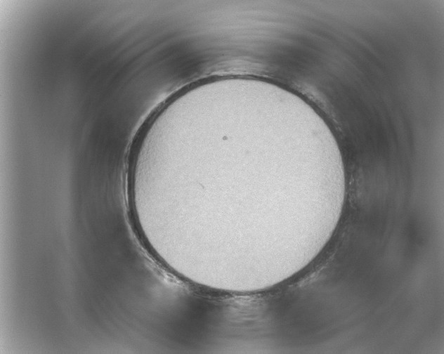 X0000067351130200604071418