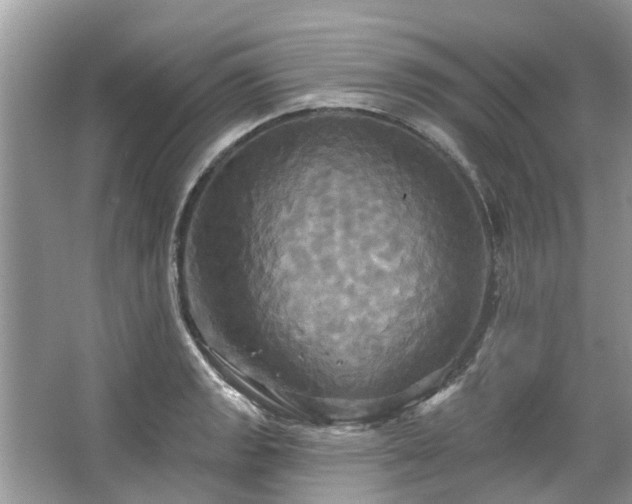 X0000067351133200604071418