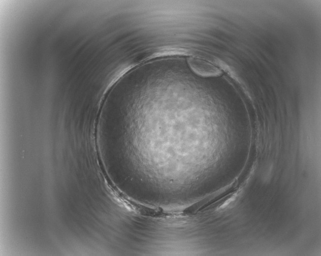 X0000067351137200604071419