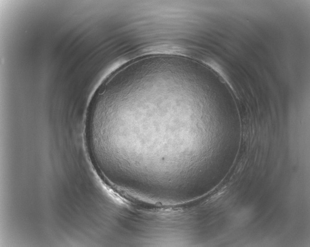 X0000067351139200604071419