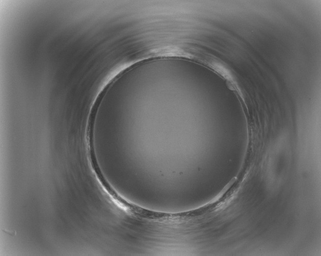 X0000067351141200604071419