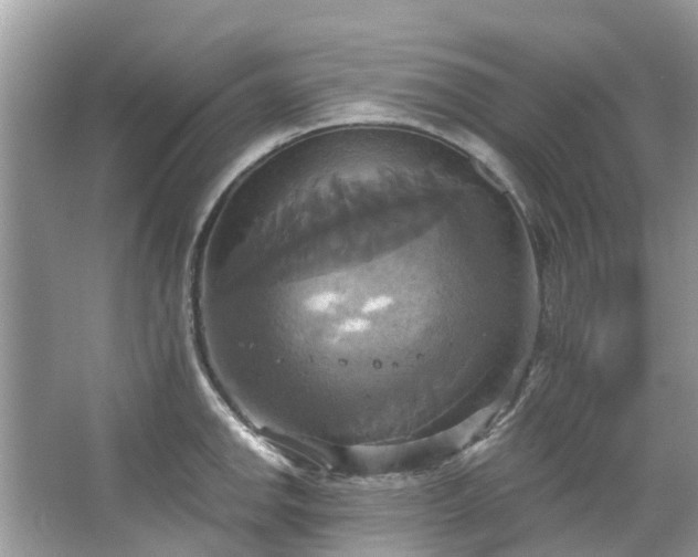 X0000067351142200604071419