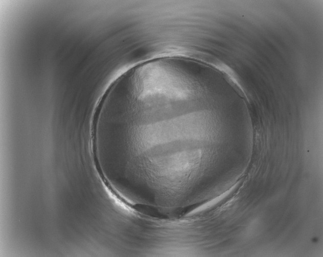 X0000067351143200604071419