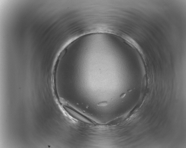 X0000067351144200604071419