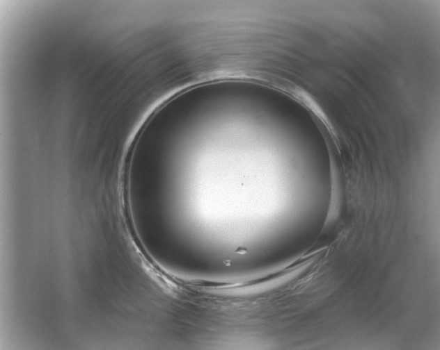 X0000067351148200604071419