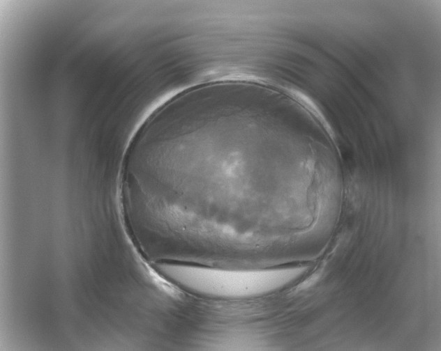 X0000067351149200604071419