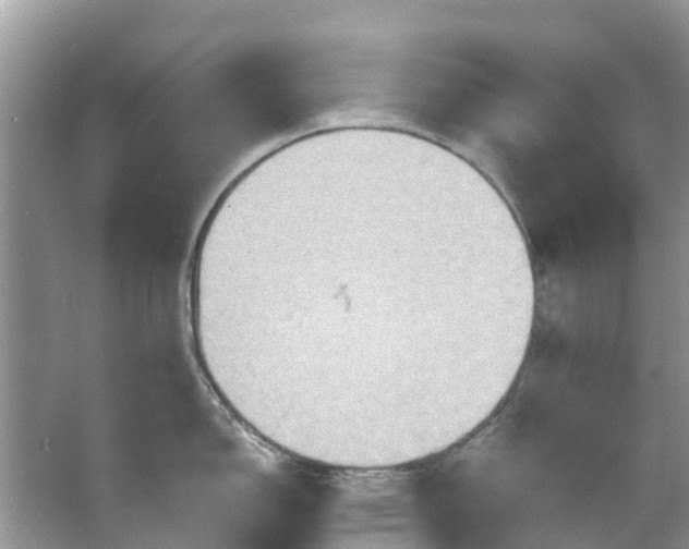 X0000067351150200604071419