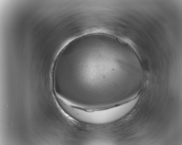 X0000067351151200604071419