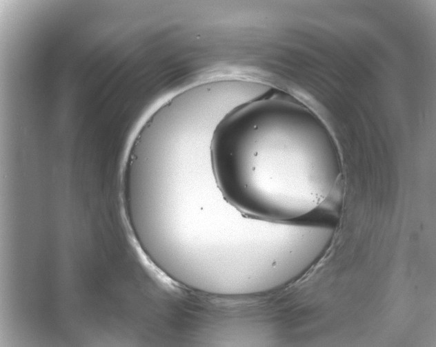 X0000067351152200604071419