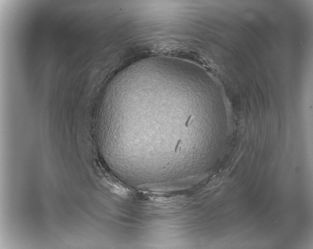 X0000067351153200604071418