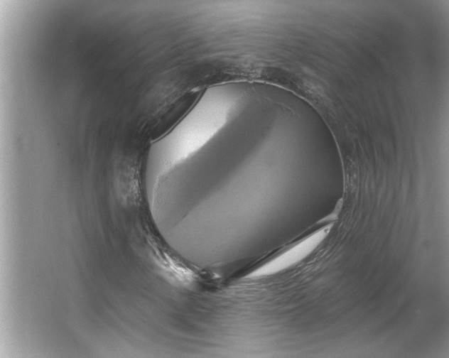 X0000067351154200604071418