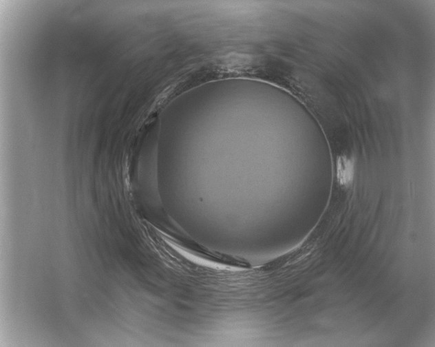 X0000067351155200604071418