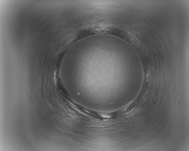 X0000067351156200604071418