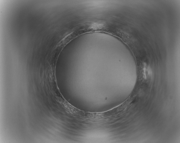 X0000067351158200604071418