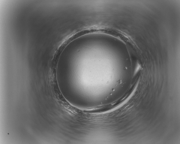 X0000067351160200604071418