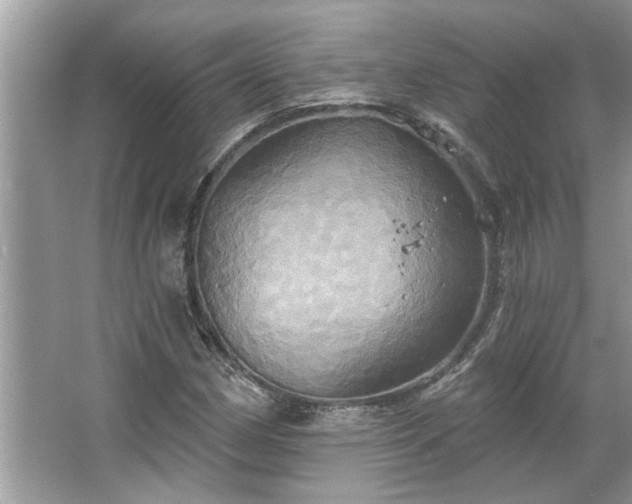 X0000067351162200604071418