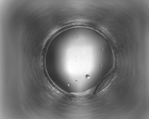 X0000067351164200604071418