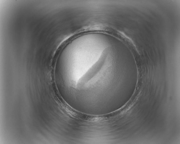 X0000067351166200604071418