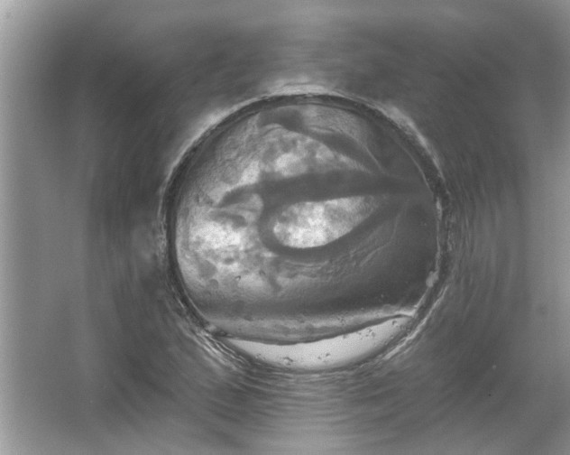 X0000067351167200604071418