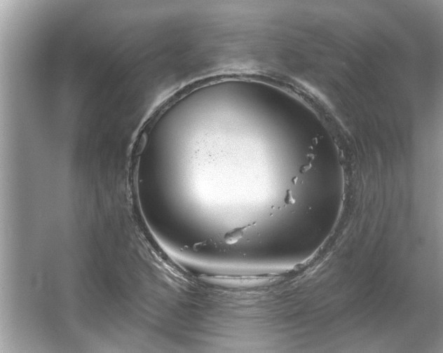 X0000067351168200604071418