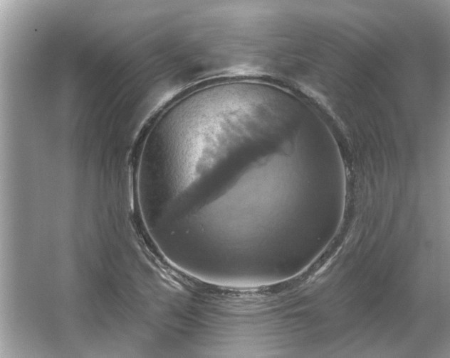 X0000067351171200604071418