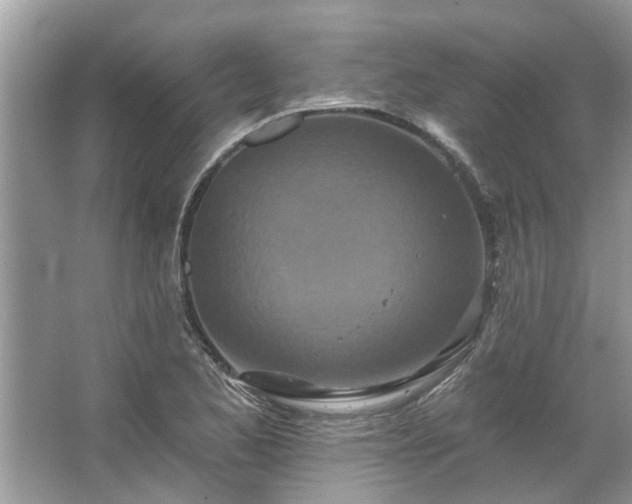 X0000067351173200604071418