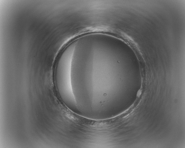 X0000067351174200604071418