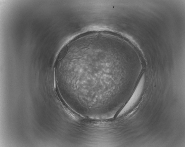 X0000067351175200604071418