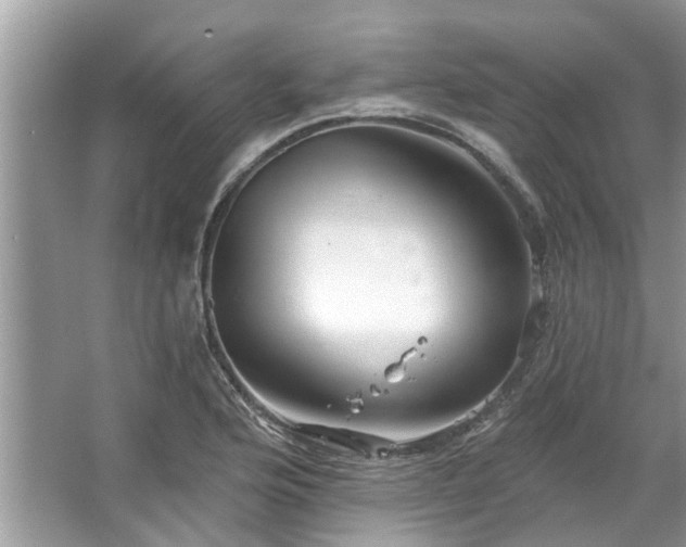 X0000067351176200604071418