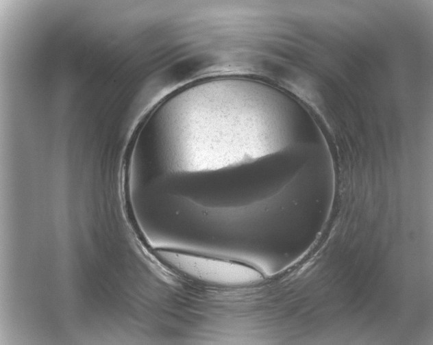 X0000067351179200604071418