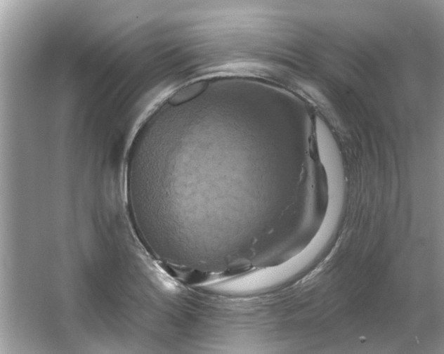 X0000067351180200604071418